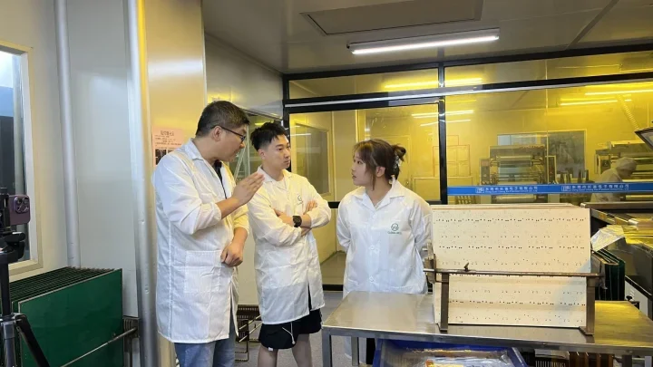 02 professional team 720x405